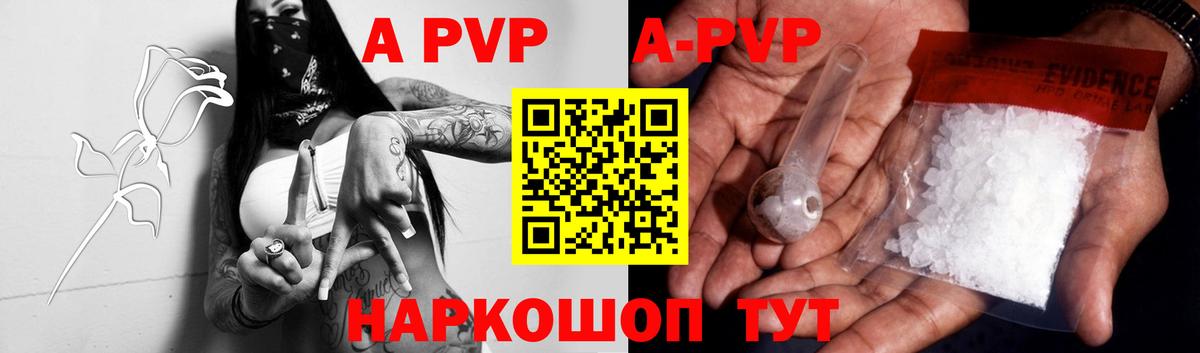 A-PVP СК КРИС Гагарин