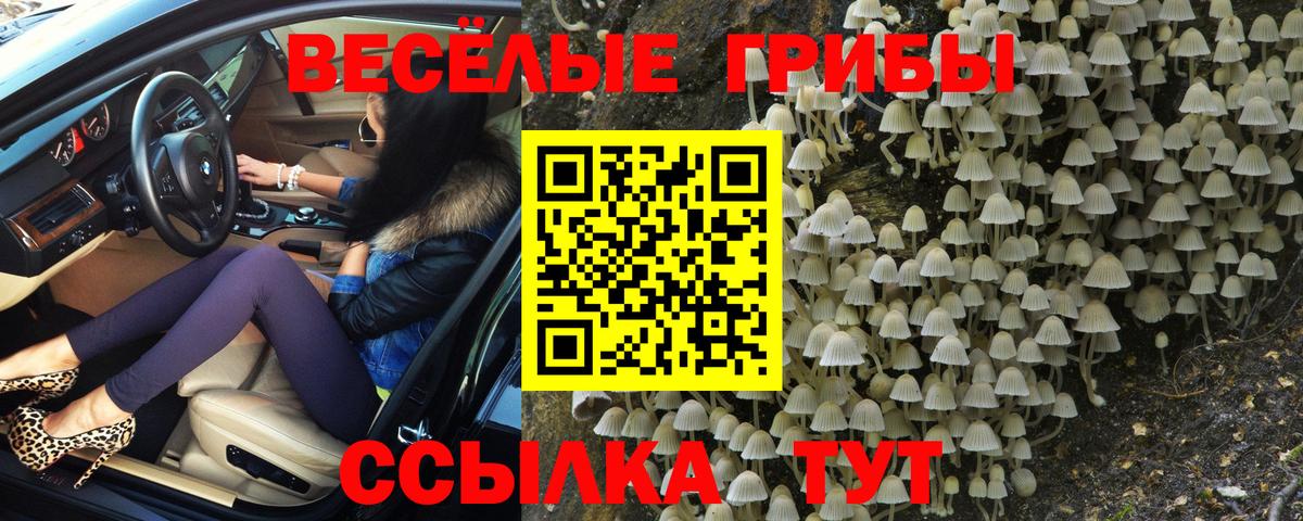 Галлюциногенные грибы ЛСД  Вход с VPN  купить   Гагарин 